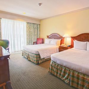 Ocean View Double Beds